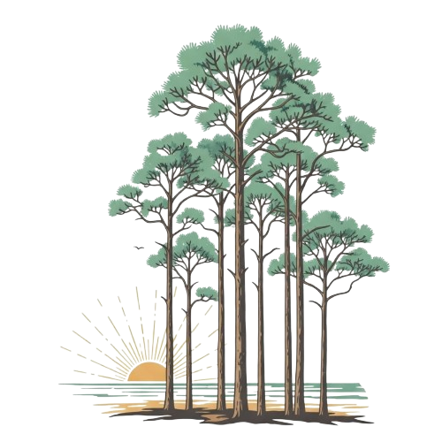 Village of Grayton Beach Favicon