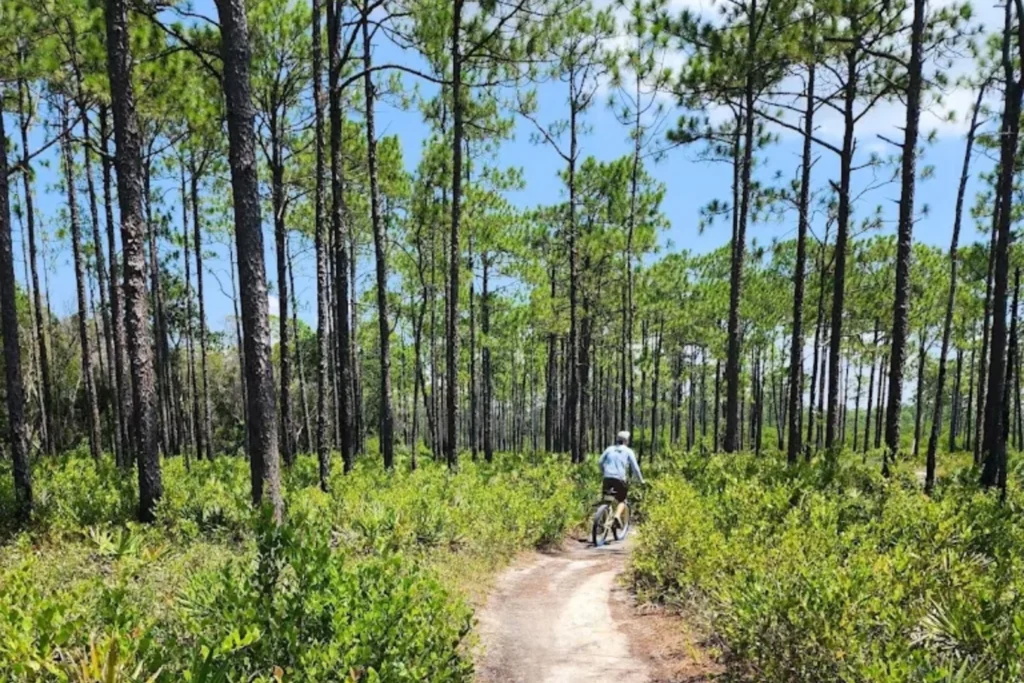 Outdoor Fun In Grayton Beach