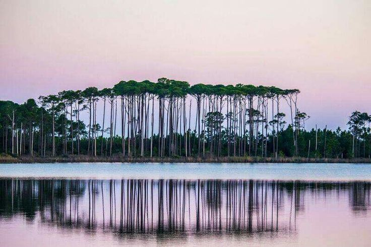 grayton beach
